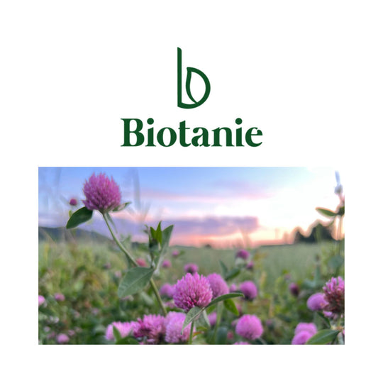 Biotanie