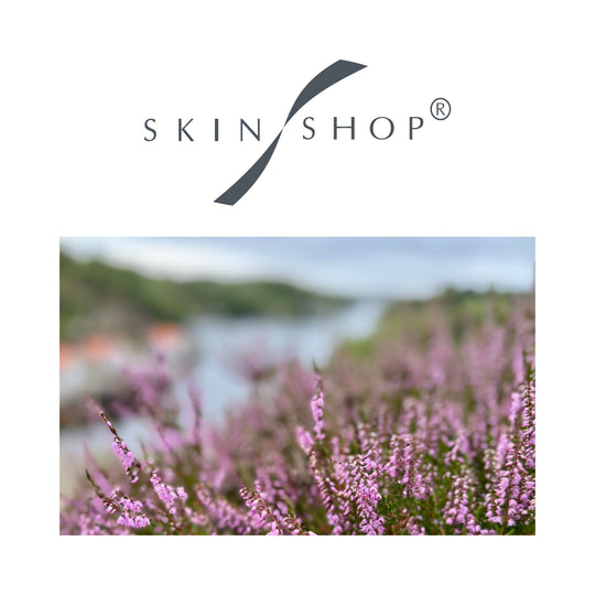 Skin Shop